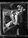 Jumbo Schnauzer Mold A - Lpdog009A