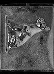 Jumbo Boxer Dog Mold B - Lpdog011B