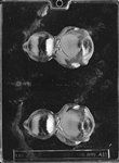 Sleeping Duck Mold - Lpe411