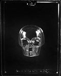 Medium 3D Skull Front Mold - Lph167A