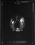 Medium 3D Skull Back Mold - Lph167B