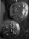 Reptile Rocks Mold - Lpk121