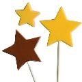 Starry Mix Sucker Mold - Mm0232