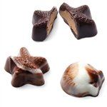Seashell Continental Mold - Mm0065