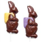 Bunny With Pack Pops Mold - Mm4129
