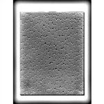 Stone For Gingerbread Hard Candy Mold (8H-4898)