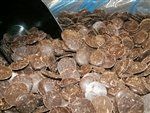 Blommer Dark Chocolate Flavored Melts - Five Pound Bag