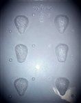 Strawberry Mold (90-13362)