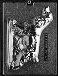 Cocker Spaniel Mold - Lpdog002B