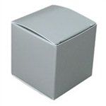 Large Silver Lustre Truffle Boxes (1838)