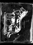 Collie Mold - Lpdog015A