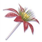 Poinsettia Pick - 6 Pack