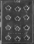 Maple Leaf Mold - Lpao121