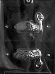 Small 3D Dessert Swan Mold - Lpw021