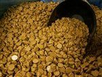 Blommer Butterscotch Flavored Drops - One Pound Bag