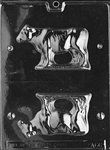 3D Cow Mold - Lpa066