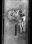 Jumbo Labrador Retriever Mold - Lpdog001A