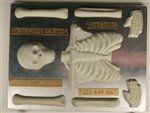 Large Skeleton Top Mold - Cch102