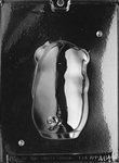 3D Pig Mold - Back - Lpa064B