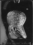3D Owl Mold - Back - Lpa070B