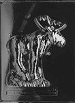 Moose - Piece 1 - Jumbo Mold - Lpa301A