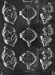 Ornaments Mold - LPC047