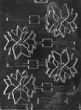 Poinsettia Lolly Mold - LPC042