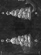 Medium Hollow Tree Mold - LPC072
