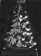 Medium Large Tree Mold - Piece 1 - LPC169A